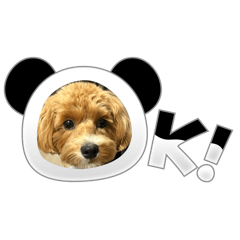 sakiccho_20250822200512