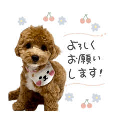 nonnoon_20250822220304