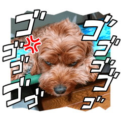 hinata_20250822205057