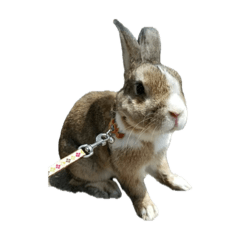 Asuka_20250822210052