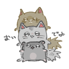 AMOTAMA_20250822213504