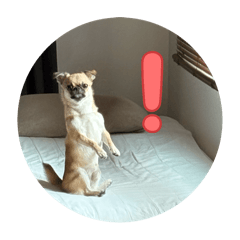 tawashi_20250822214215