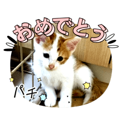 nonchan_20250822224509