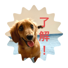 UMEPI_20250822215204