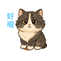 傻呼呼小貓