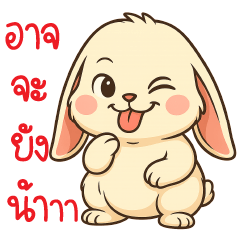 มีตังค์ กระต่าย อ้วนน่ารัก