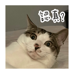 幾噗一小噗