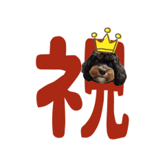 m_20250821200031