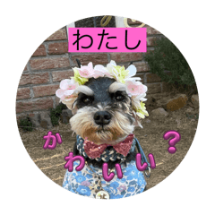 kumaken_20250822222540