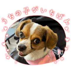 himawari_20250822223551