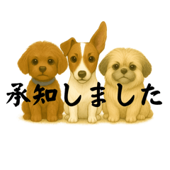 neneco_20250823003540