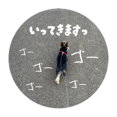 SALLY_20250823074631