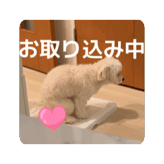 Omochi_20250823144332