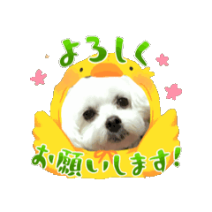 MOMO_20250823161251