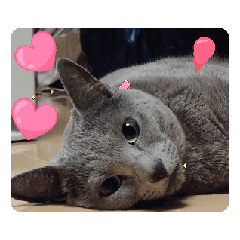 Sachi_20250823170114