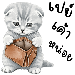 ชิชิ แมวมุ้งมิ้ง