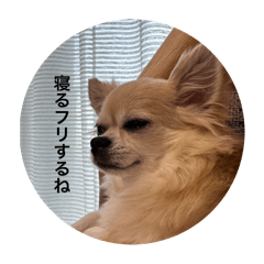 mitsuki_20250823115713