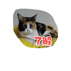 kiki_20250823114745