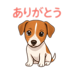 Saori_20250823115152