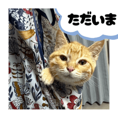 Natsu_20250823021814