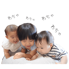 shiho_20250823094529