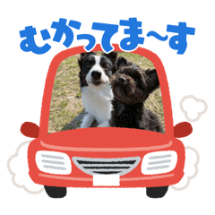 Kaori_20250823095501