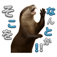 yuka_20250823141423