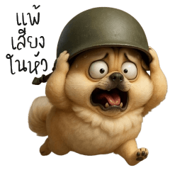 Si-nual the mischievous little dog