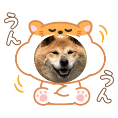 ayu_20250823073234