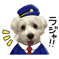 ayu_20250823072402