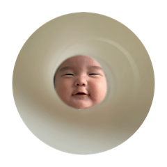 rabbit_pop_20250823121614