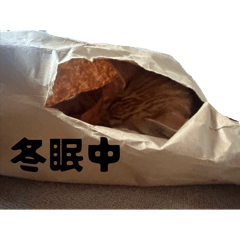 Natsu_20250823000506