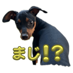 INARI_20250822222246