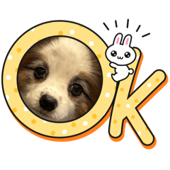 kiki_20250823022918