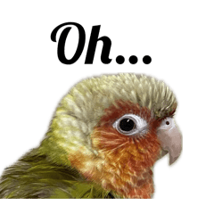 March_20250823181222