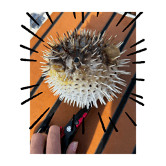 Yukio_20250823182332