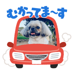 cocoa_20250823111754