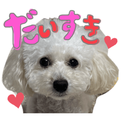 Haruka_20250823173910