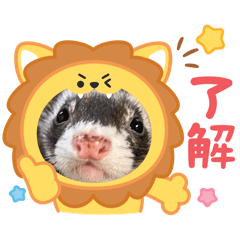 Sakura_20250823195559