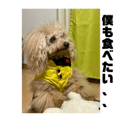 Flower_20250823201029