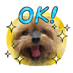 marble_20250823153641