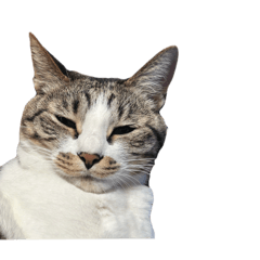 matsu_20250823153237