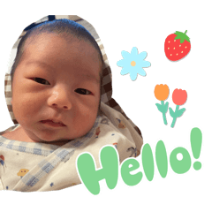 panda_20250823195417