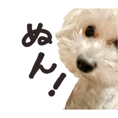 Yurina_20250823211432