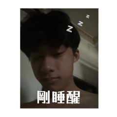 QQ73