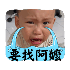 王小崽3