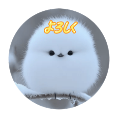 sugar_20250822010429