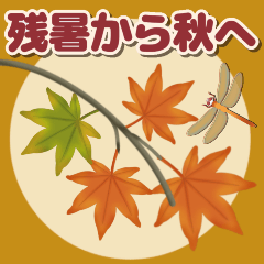 從夏末到秋天：大人可愛的溫柔日常