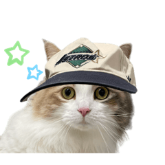 chihiro_20250822082559