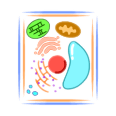 HIKARI_20250822152203